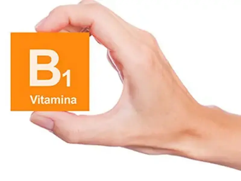 Tiamina: A importância da Vitamina B1