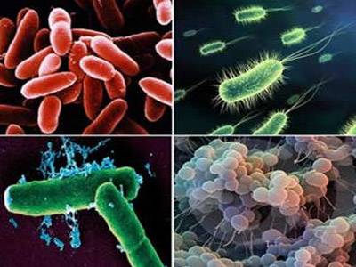 doenças causadas por bactérias