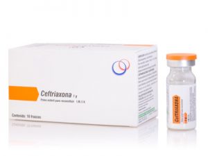 Ceftriaxona Bula - Para que serve, Posologia, Injetável, Sódica