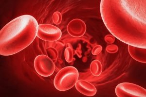 anemia Neutrofer